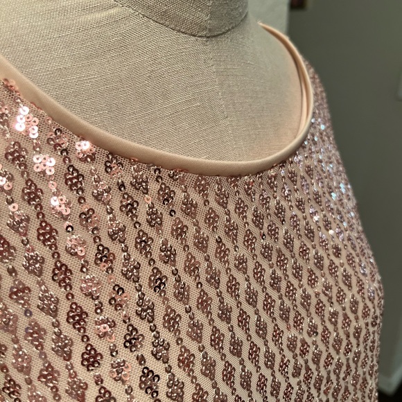 Rose Gold Sequin Dress - Picture 5 of 7